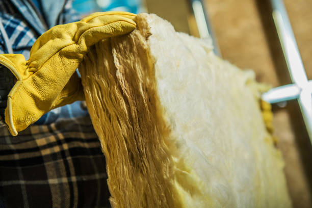 Best Commercial Insulation in Three Oaks, FL